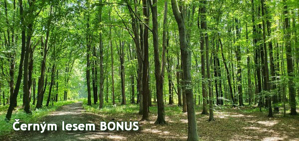 Černým lesem - bonus