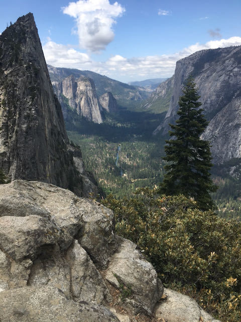 Yosemite Valley El Capitan FROM 4-MILE TRAIL