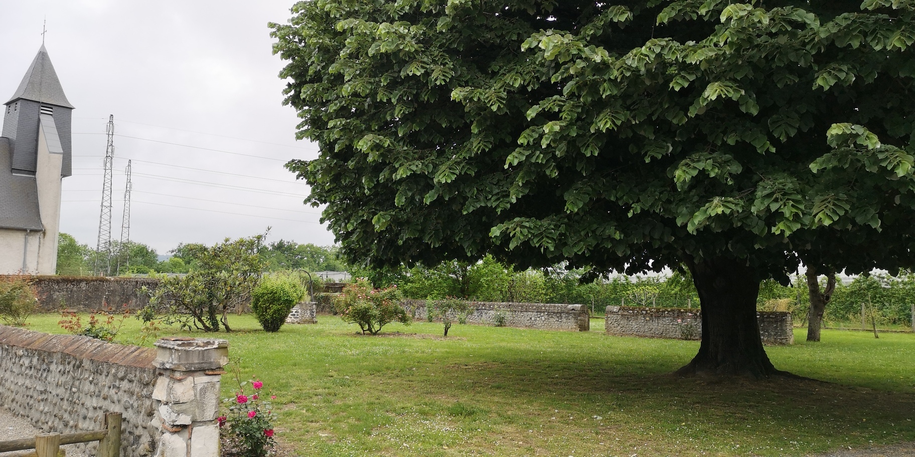 Au premier plan, un tilleul situé dans un jardin clôturé par des murets en galets. En arrière-plan, il y a une église.