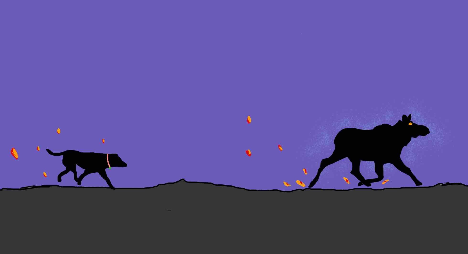 Drawing of Didi dog chasing a ghostly silhouette of a moose, with sparks flying