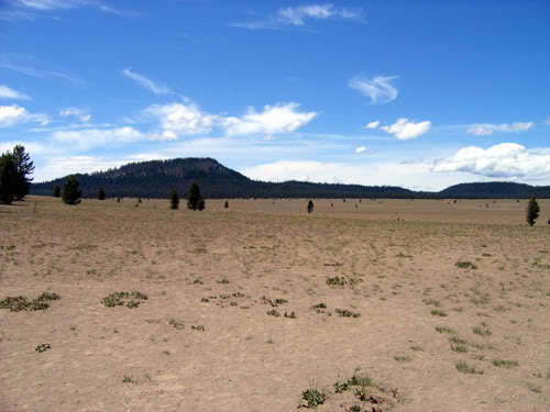 View of Pumice Desert from the parking lot