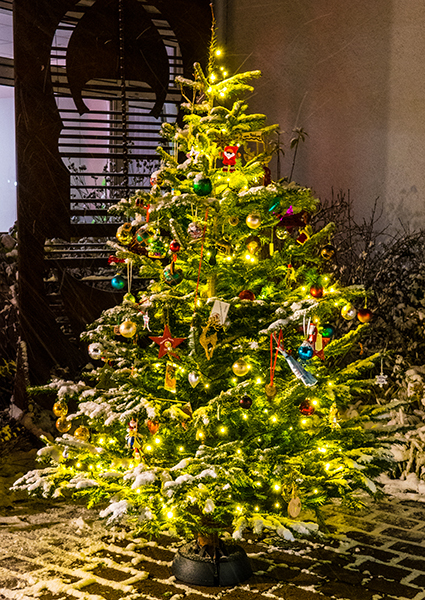 Ein Weihnachtsbaum im dunkeln mit einer strahlenden Lichterkette. Er ist das Logbuch für diesen Event und an ihm hängen vielen Weihnachtskugeln und Anhänger mit den Geocachingnamen der Besucher. 