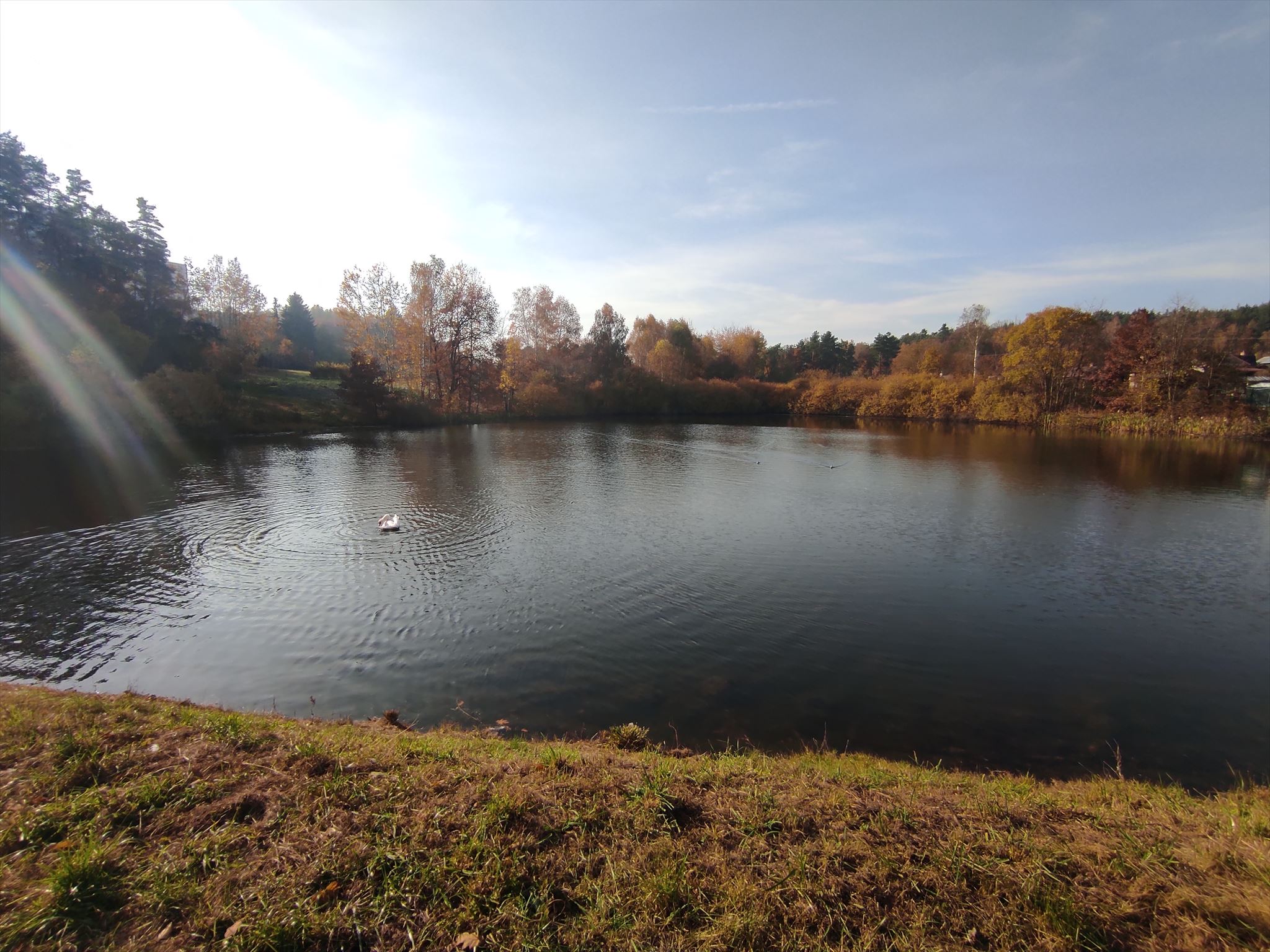 Obrázek rybníku