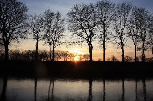 Zwischen Bäumen untergehende Sonne über Finks Loch