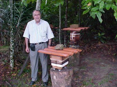 Esta imagem mostra o Dr. Kerr ao lado de 2 colmeias de abelhas sem ferrão do gênero Melipona no Instituto Nacional de Pesquisas da Amazônia
