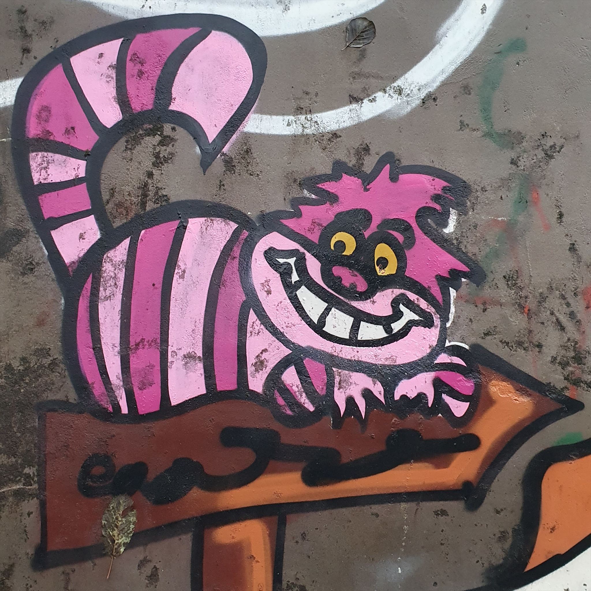 Cheshirekatten