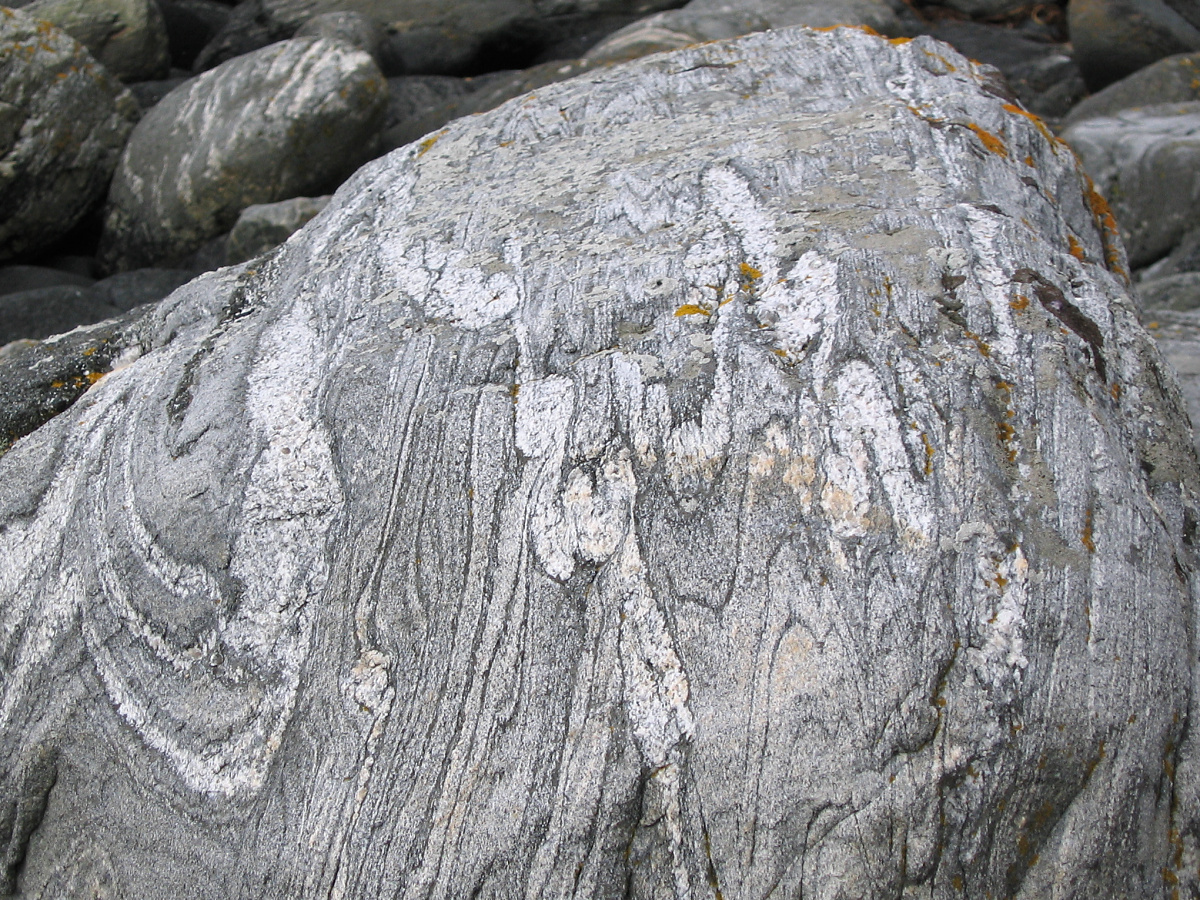 Folds in a metamorphic rock