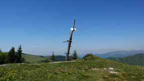 Malý Zvolen (1372,4 m.n.m.) vrchol