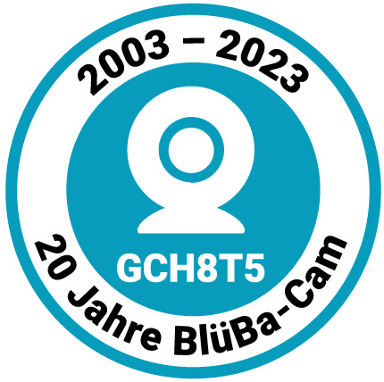 20 Jahre Blüba-Cam: 2003 – 2023